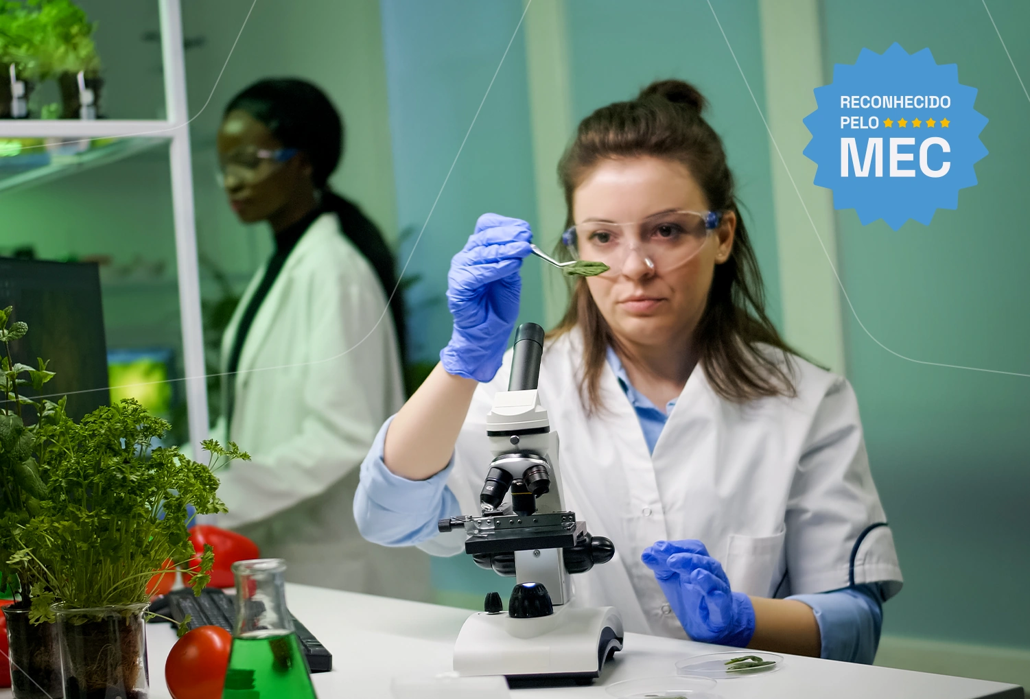 Ciências Biológicas